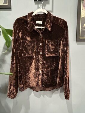 Evereve Velvet Button-Up Shirt in Deep Chocolate Brown sz Medium?